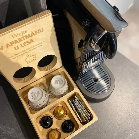 U Lesa * Dolní Morava