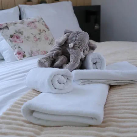 U Lesa Apartament *
