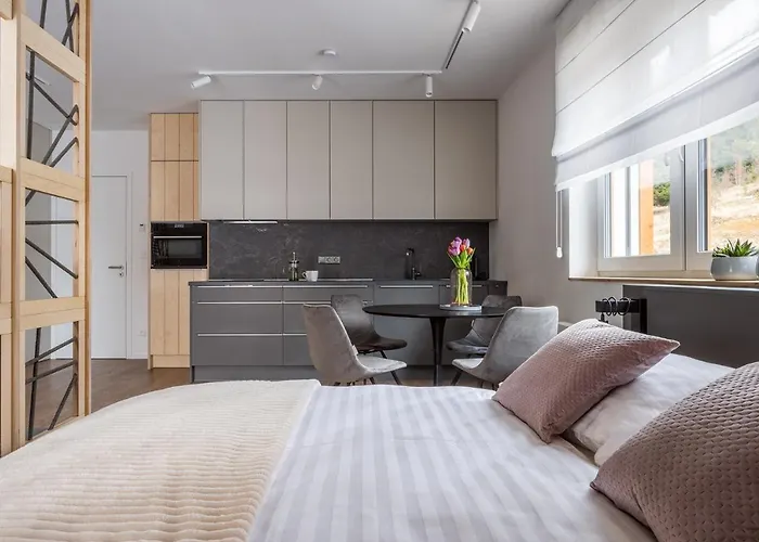 U Lesa Appartement Dolní Morava