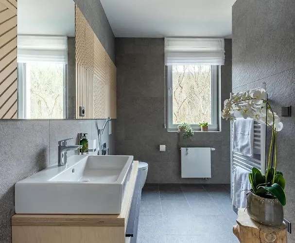 U Lesa Apartment Dolní Morava