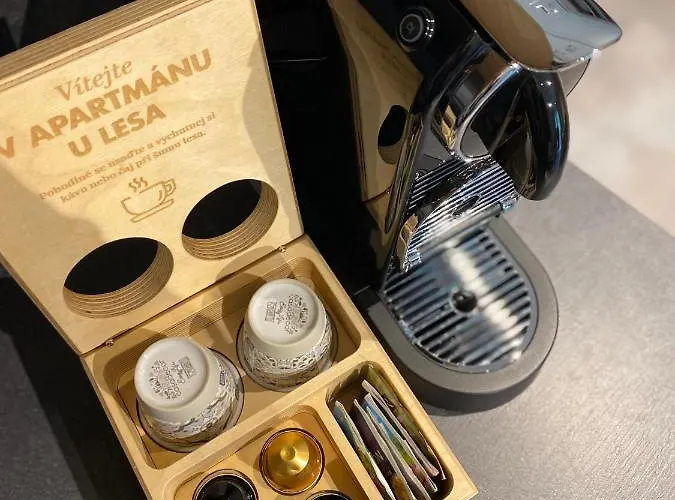 U Lesa * Dolní Morava